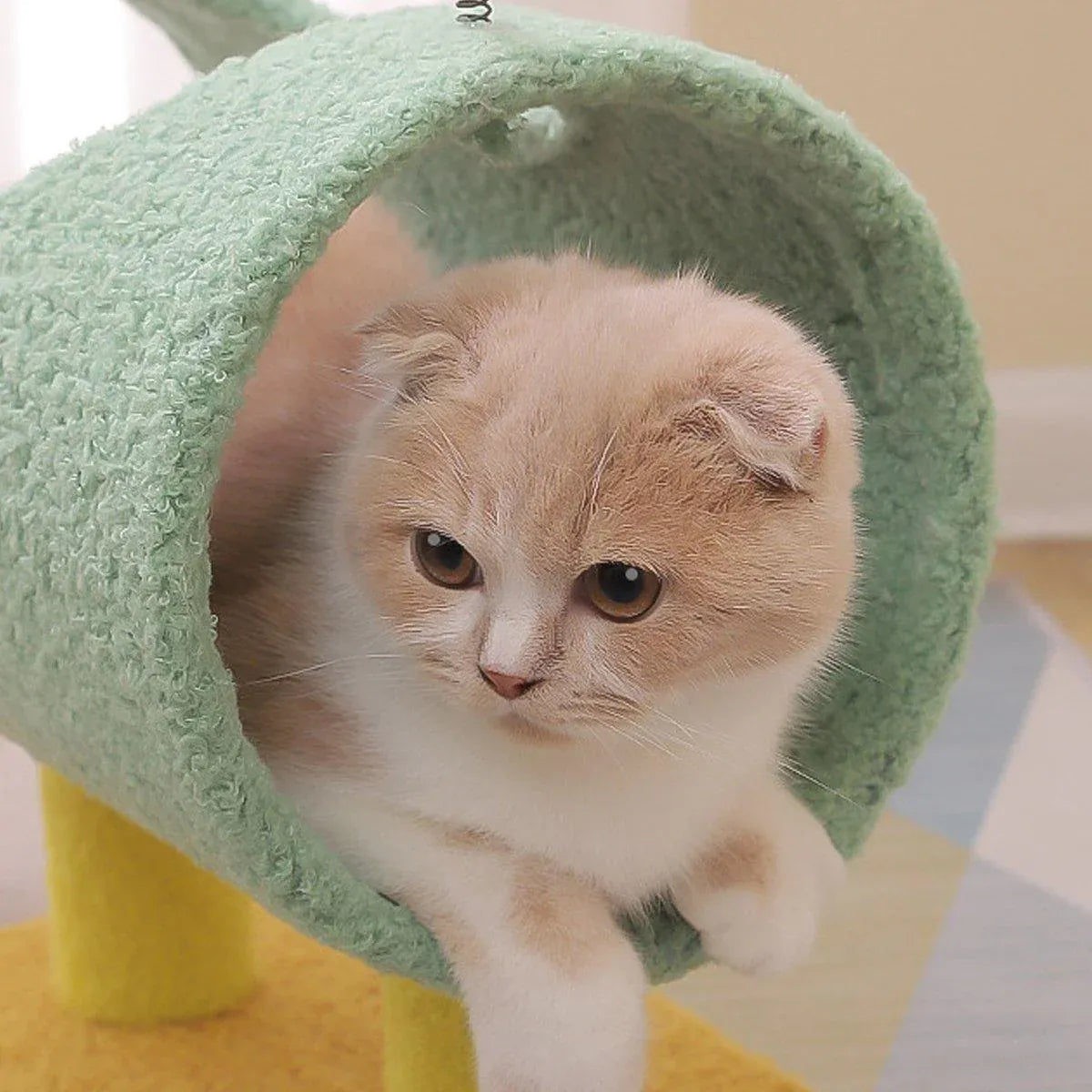 Cat Climb & Scratch Frame