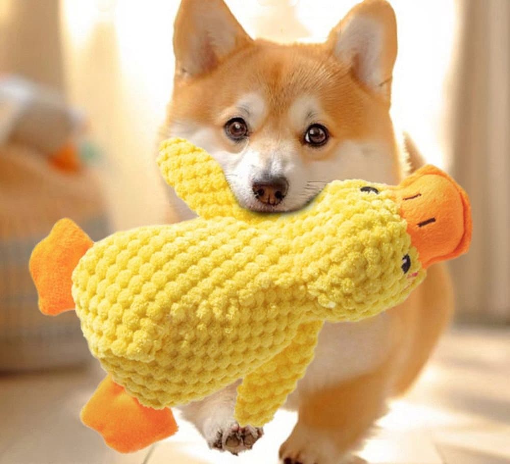 Interactive Duck Toy