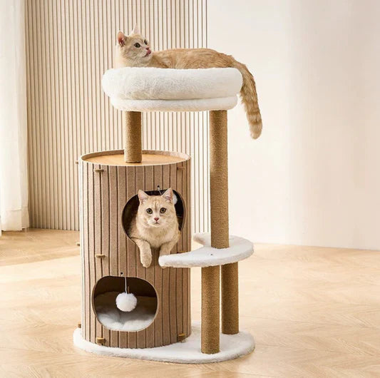 Cat Scratching Posts