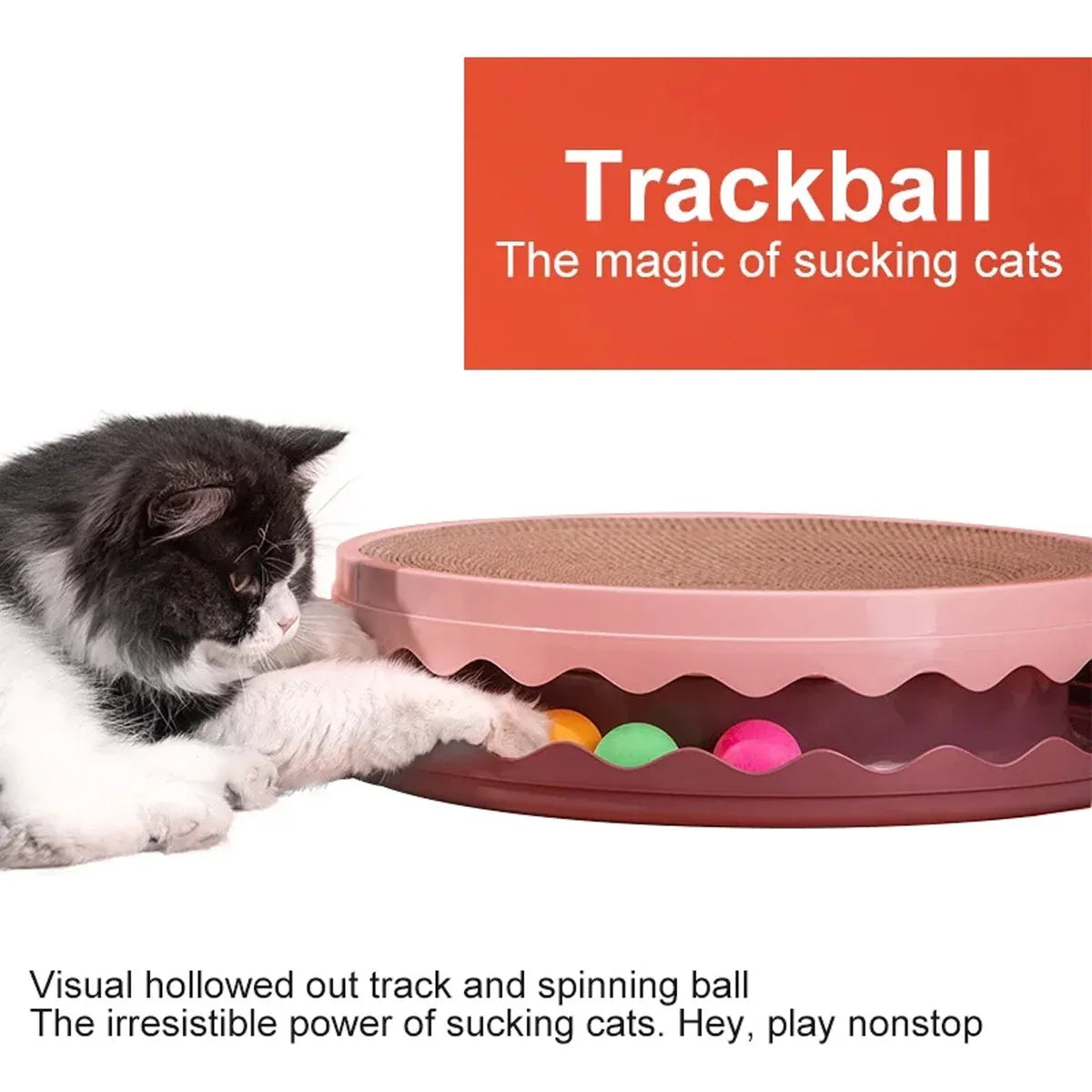 Cat Scratching Play Turntable