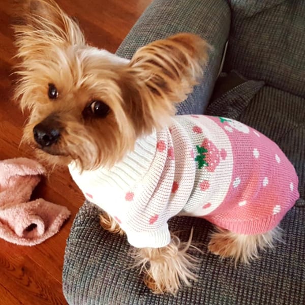 Strawberry Patch Turtle Neck Sweater