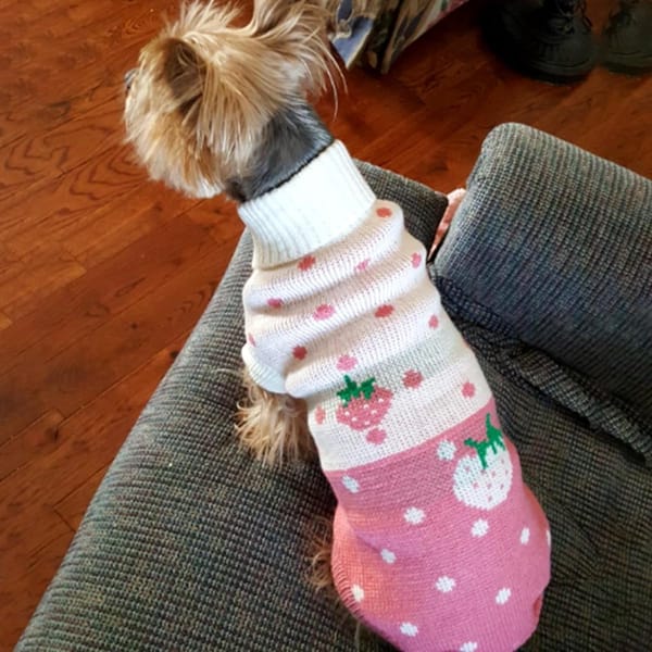 Strawberry Patch Turtle Neck Sweater