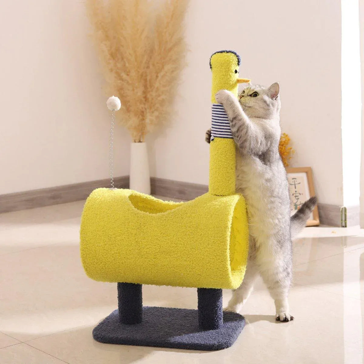 Cat Climb & Scratch Frame