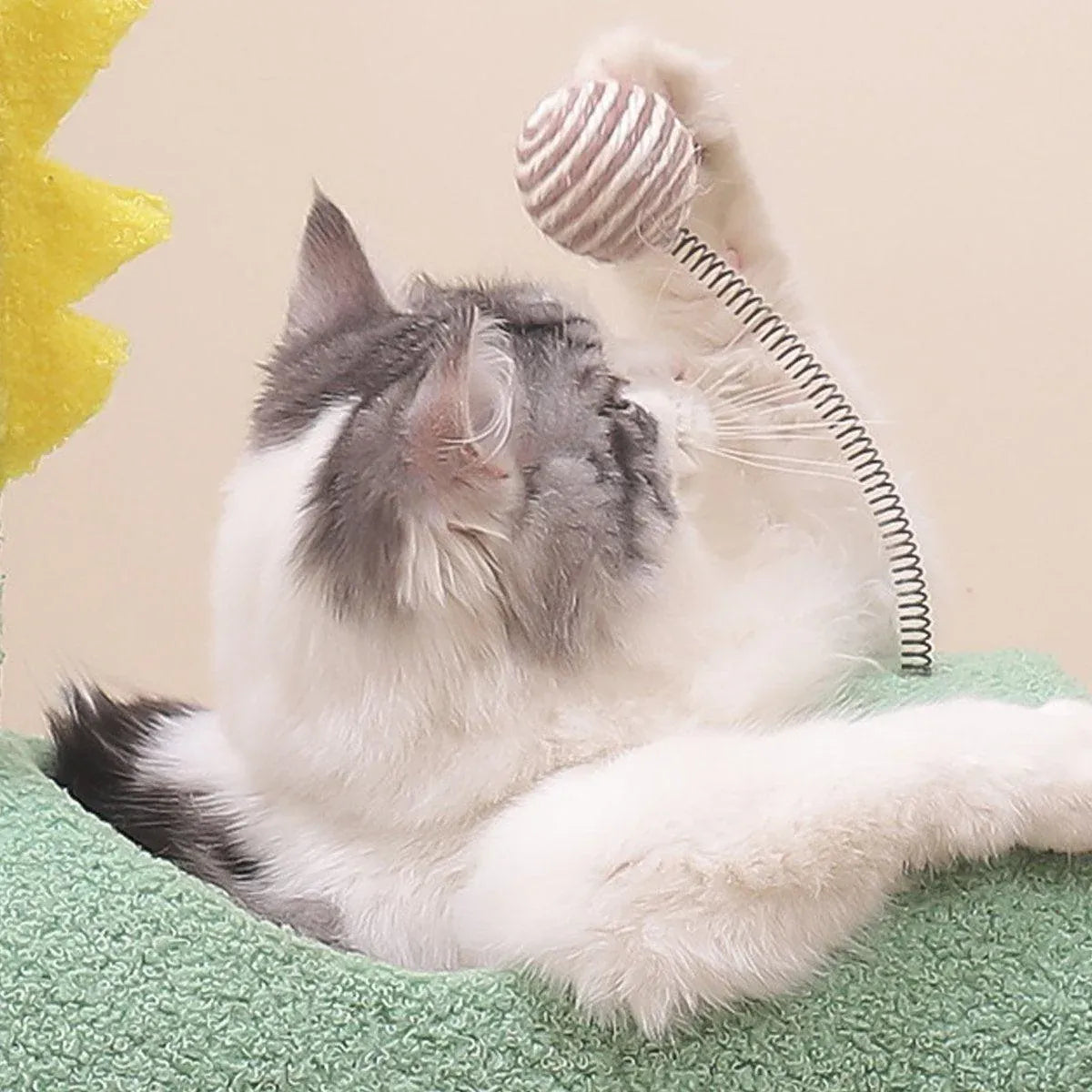 Cat Climb & Scratch Frame