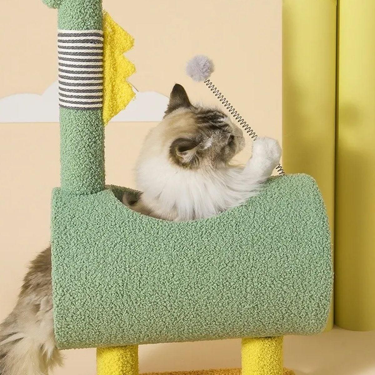Cat Climb & Scratch Frame