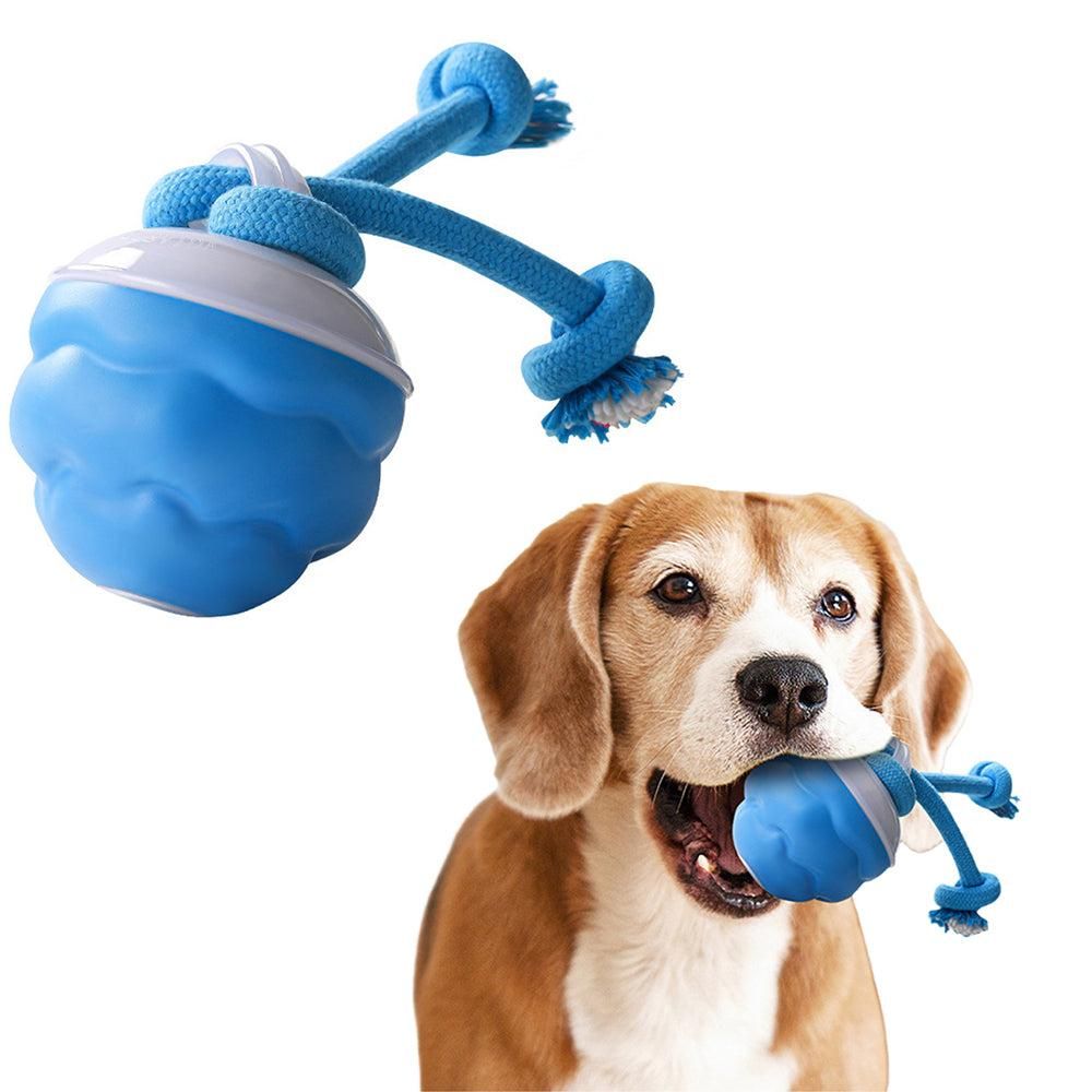 Interactive Rolling Dog Toy