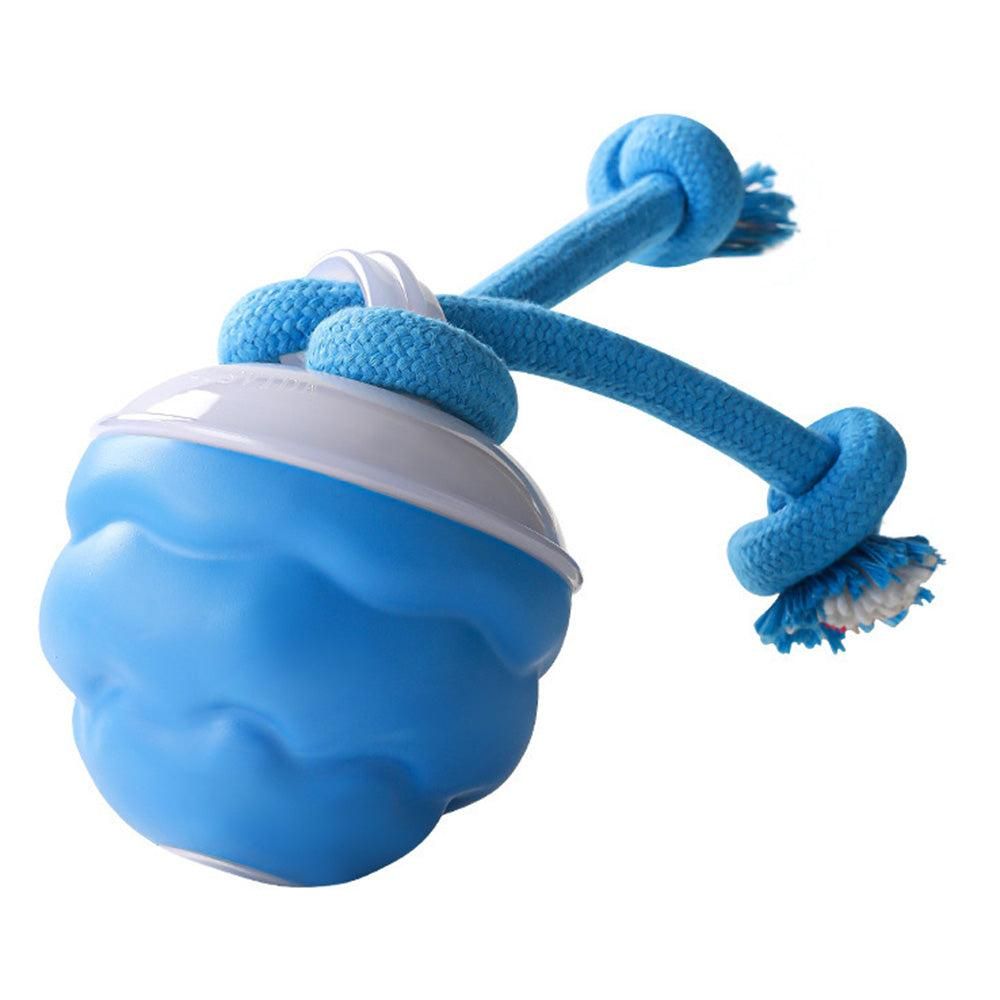 Interactive Rolling Dog Toy