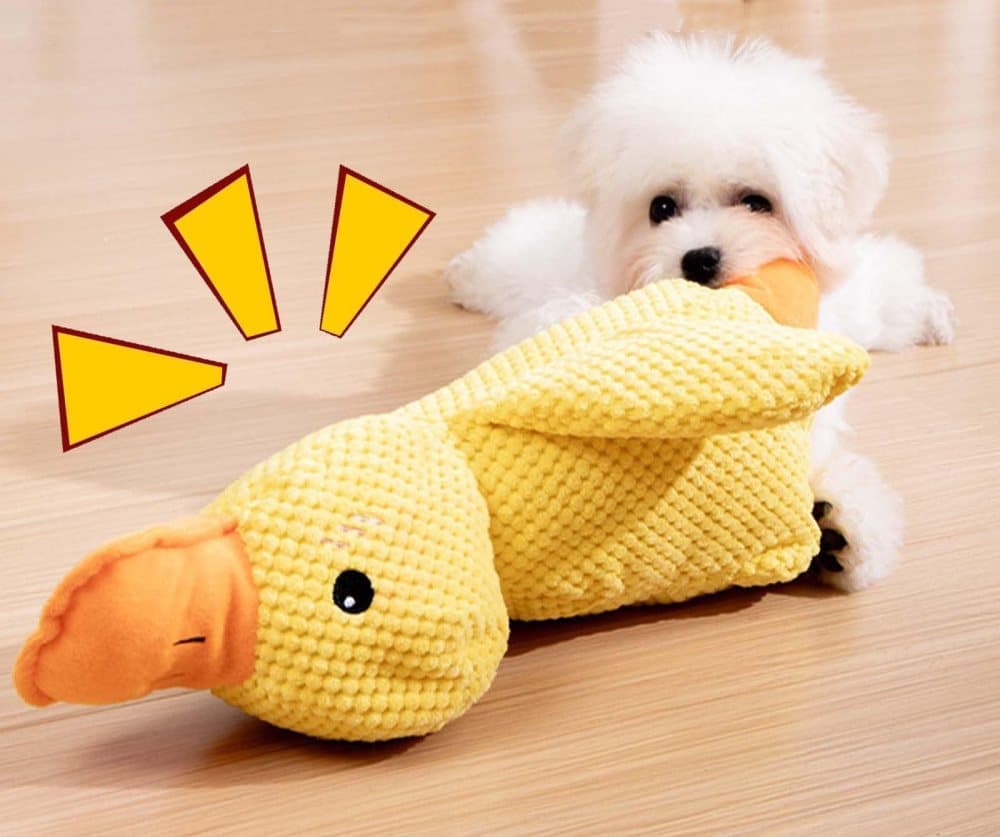 Interactive Duck Toy