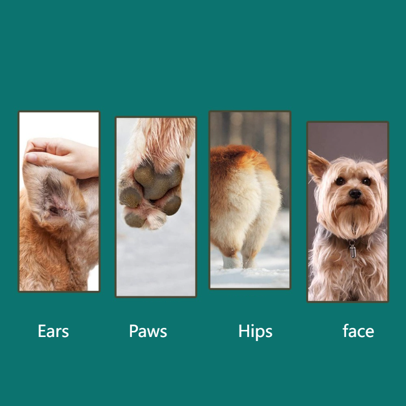 4IN1 Pet Grooming Kit